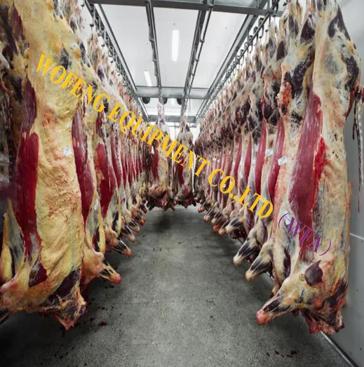 Thiết kế 100 đầu mỗi ngày gia súc giết mổ dòng Lò mổ Máy thịt bò Máy chế biến thịt với thiết bị Lò mổ bò
