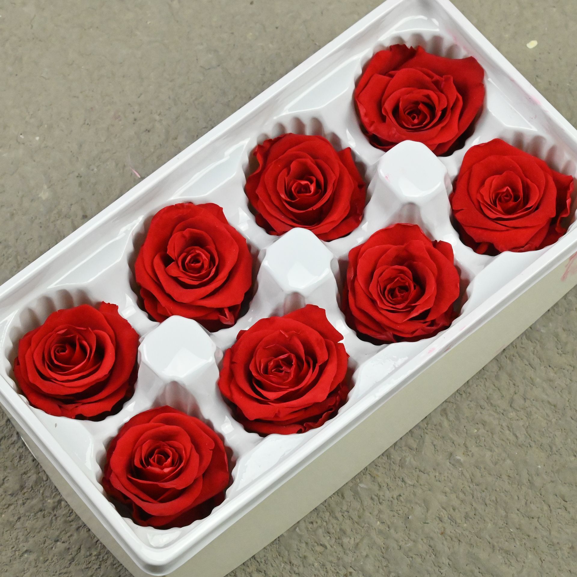 B rose 4-5 chinese red small flower type