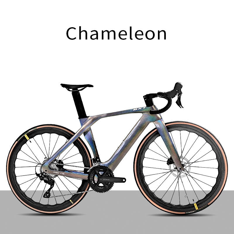 Vélo gris caméléon