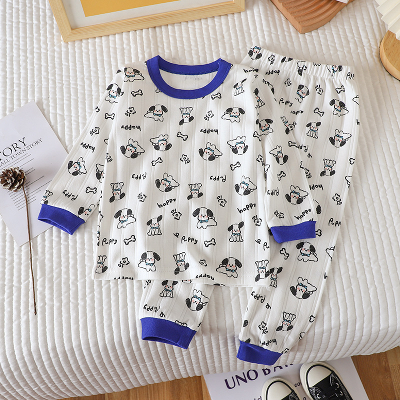 Blue puppy on white
