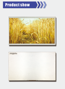 10,1 zoll 1280*800 lcd touch bildschirm mipi dsi interface lcd display - Product Image 5