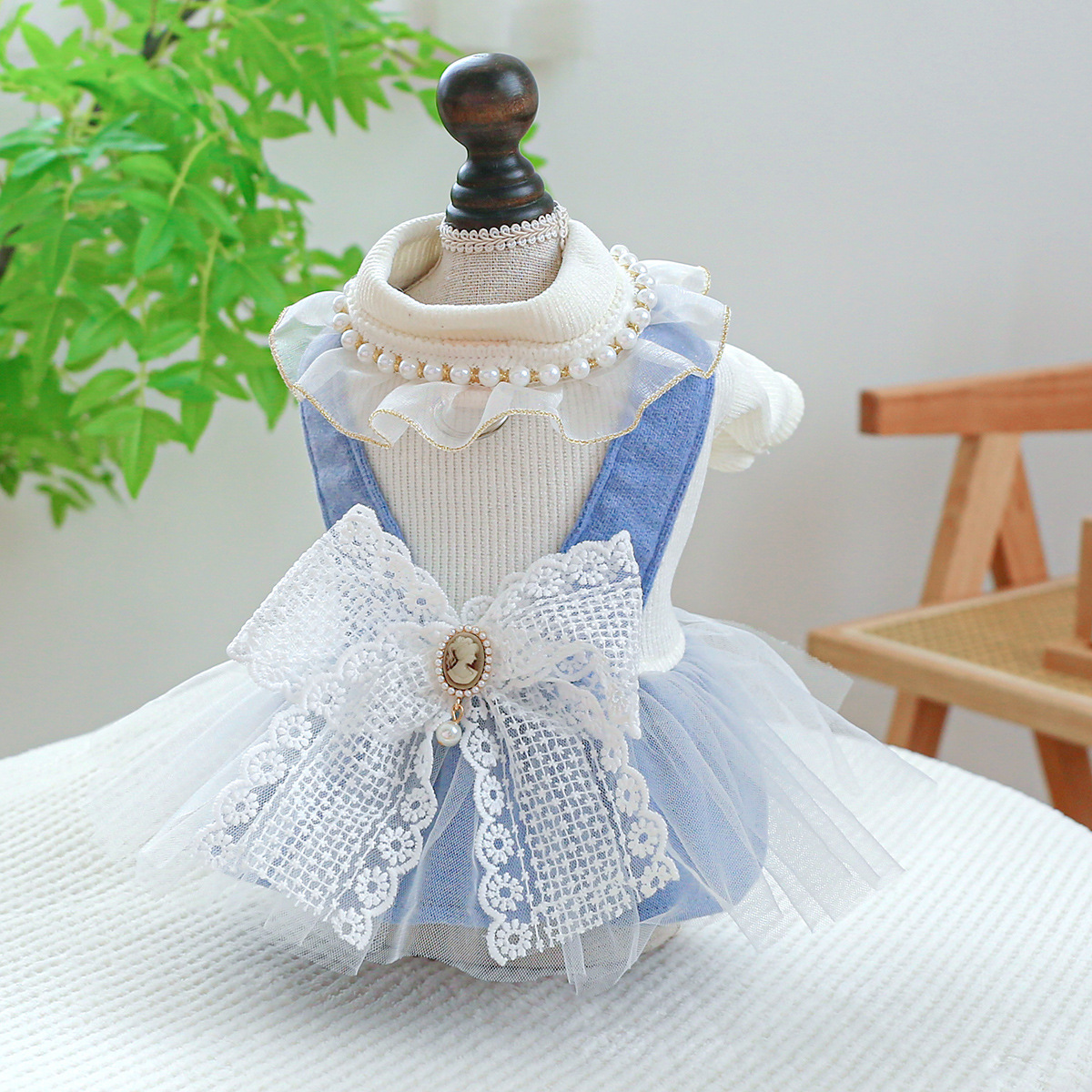 Beauty Dress