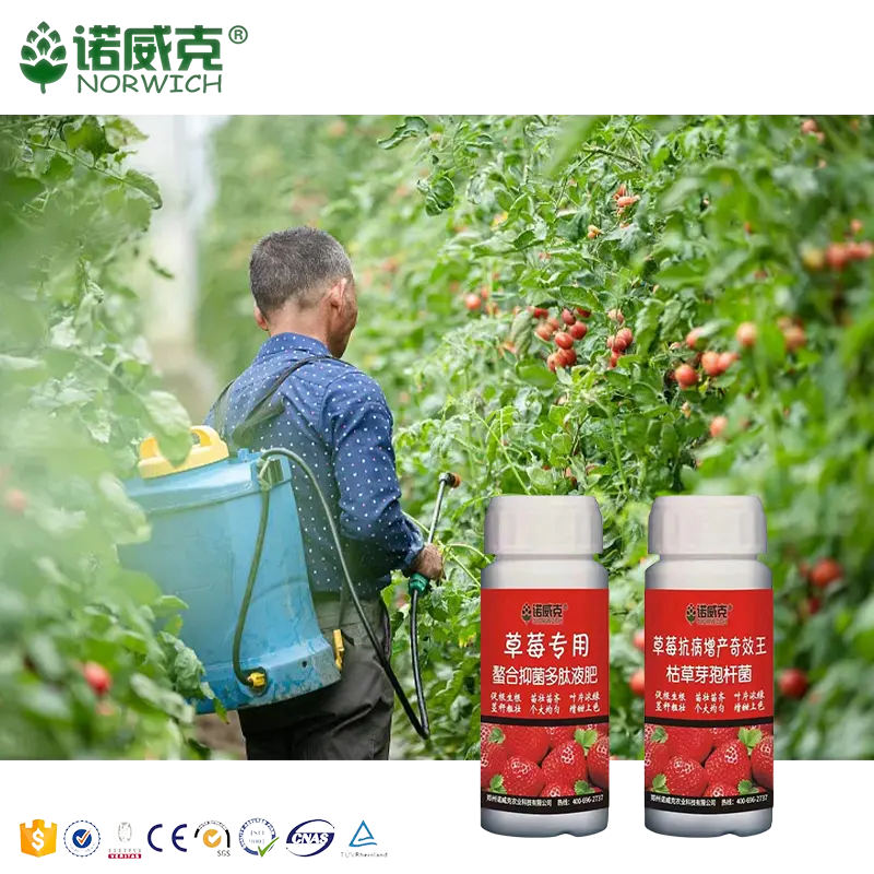 Vendita calda fertilizzante liquido idroponico piante di coltivazione per uso domestico solubile in acqua sostanze nutritive liquide organiche per la coltivazione di pomodoro