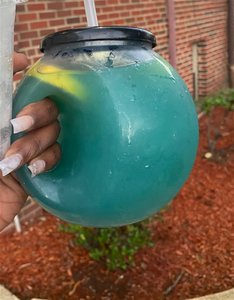 プラスチック製の飲用金魚鉢カスタムロゴ金魚鉢飲用カップハンドル付き