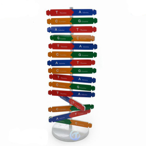 Gelsonlab HSTM-079 DIY DNA Model seti çift sarmal yapı eğitim ekipmanları öğretim için - Product Image 4