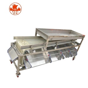 Fruit Blueberry <strong>Dates</strong> Weight <strong>Sorting</strong> <strong>Machine</strong> Fruit Weight <strong>Sorting</strong> <strong>Machine</strong> - Product Image 1