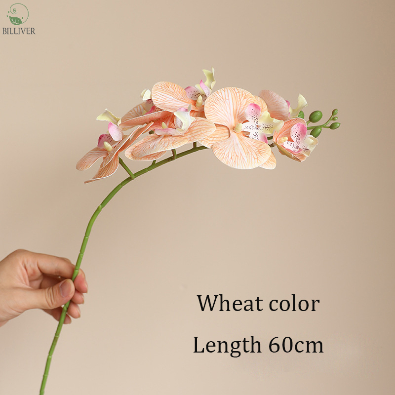 Colore grano rosa