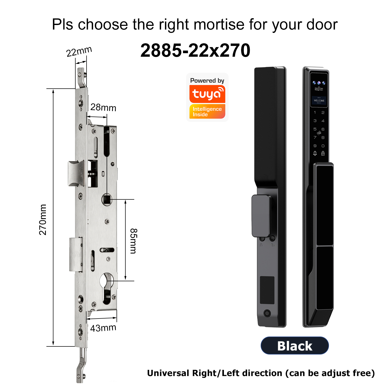 Z5 with 2885 Swing Multi-point Mortise(22x270mm)