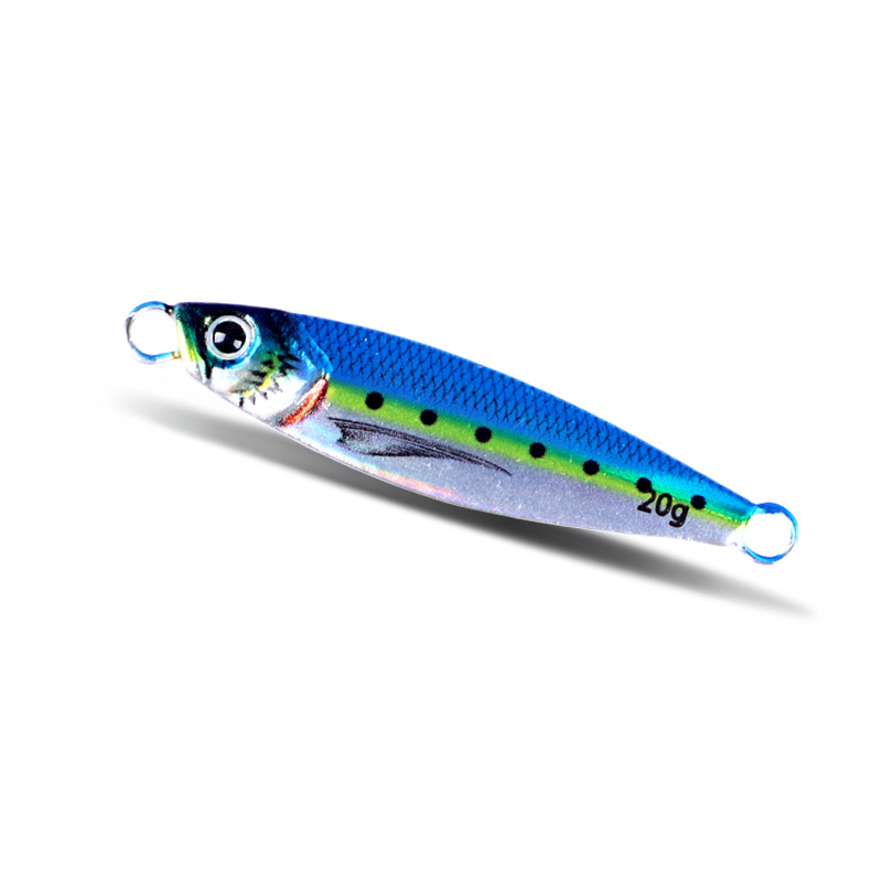 Blue back silver belly body