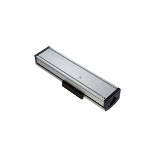 Double <strong>Linear</strong> Guide Ball <strong>Screw</strong> <strong>Driven</strong> <strong>Sliding</strong> Table Heavy Duty Dustproof Module - Product Image 5