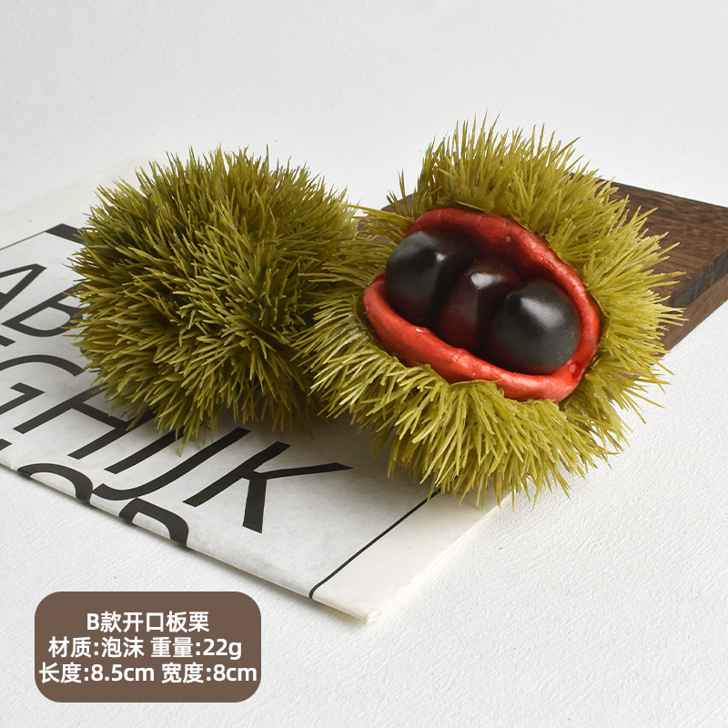 Type B open chestnut