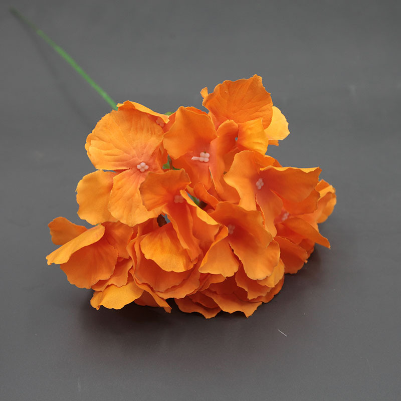 Orange avec des branches