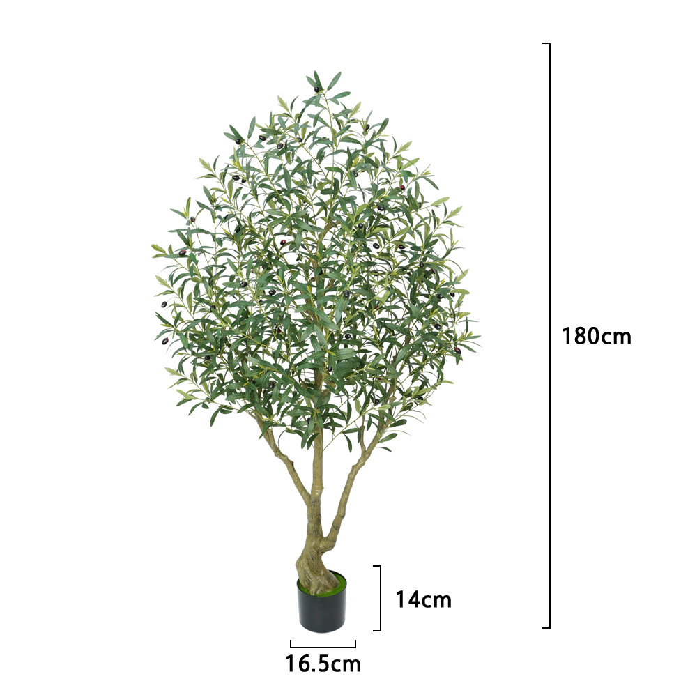green-6FT