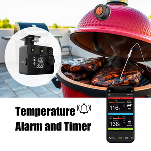 Inalámbrico inteligente para termómetro de carne Bluetooth para Kamado Grill PID BBQ Fan Controller Control de temperatura Sonda de plástico para ODM - Product Image 5