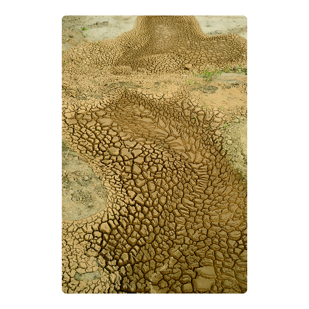 Wasteland_03_4'x6'