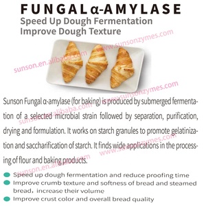 Hiqh chất lượng thực phẩm hữu cơ lớp nấm Alpha amylase <span class=keywords><strong>Enzyme</strong></span> bột cho Baking ngành công nghiệp - Product Image 5