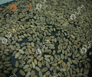Cracker de granos de cacao de pequeña capacidad y Winnower Skin Remove Shelling Peeling Máquina de aventado de craqueo de cacao para granos de cacao - Product Image 4