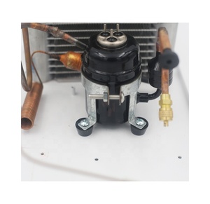 Dc 12v 24v mini soğutma ünitesi yoğuşmalı ünitesi HAVA SOĞUTUCU klima için kırmızı şarap soğutucu araba buzdolabı nem alma cihazı - Product Image 4