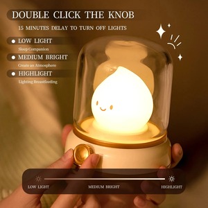 Wholesale Ghost Campfire Night Light Realistic Flame Timer Rechargeable Cute Flame Cozy Table <strong>Lamp</strong> for Kids Gift