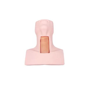 Thyrocricocentesis Tracheotomy Intubation Training Model Sciedu Anatomy Model <strong>Human</strong> Body PVC Medical Training Manikin - Product Image 1