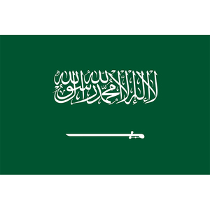 Suudi arabistan KSA Sa DDP hava taşımacılığı Forwarder deniz nakliye acentesi kargo lojistik hizmetleri onchina çin - Product Image 1