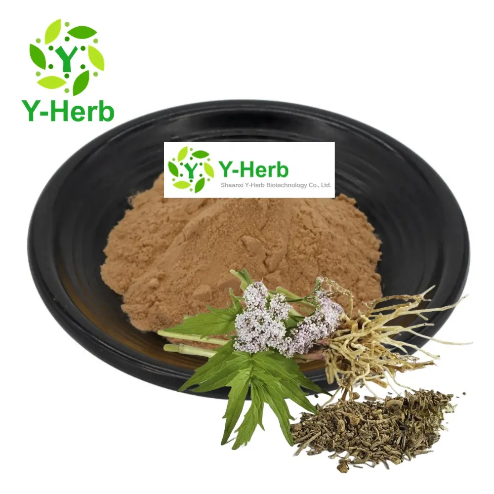 Valeriana Officinalis estratto di radice di Valeriana in polvere acido valerico 0.8% polvere di radice di Valeriana Officinalis