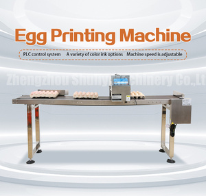 Automatic Capacitive Touch Screen Professional Egg Spray Inkjet Printer <strong>Coding</strong> Machine - Product Image 4
