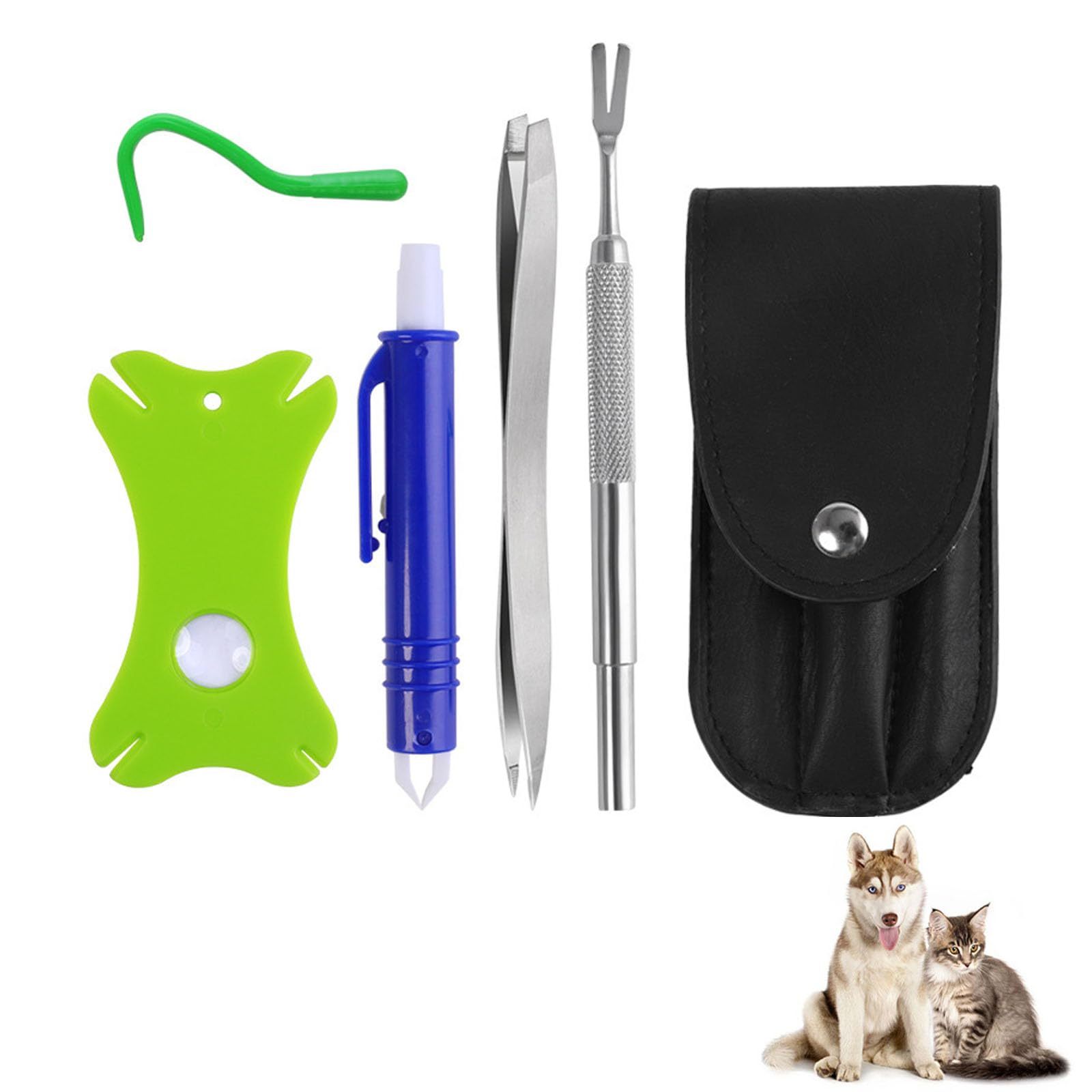 blu&verde- set da 5 pezzi (stile borsa in pelle)