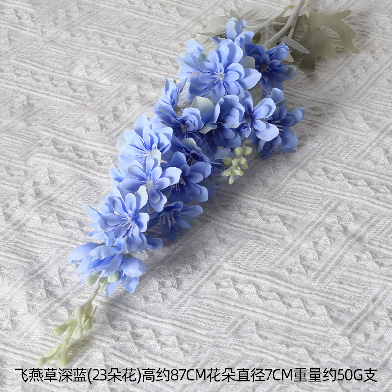 Delphinium blu intenso
