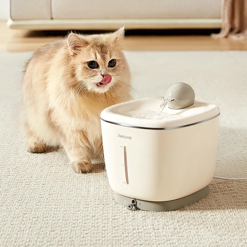 Nhà Máy Tự Động Pet Nước Trung Chuyển Đài Phun Nước 2L Pet Mèo Nước Dispenser Cho Mèo Và Chó