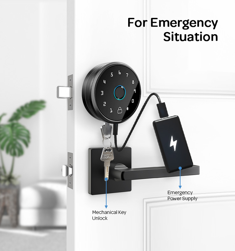 Amazon Hotselling Wifi TUYA APP Deadbolt Lock Keypad Wireless Fingerprint Smart Door Lock Deadbolt