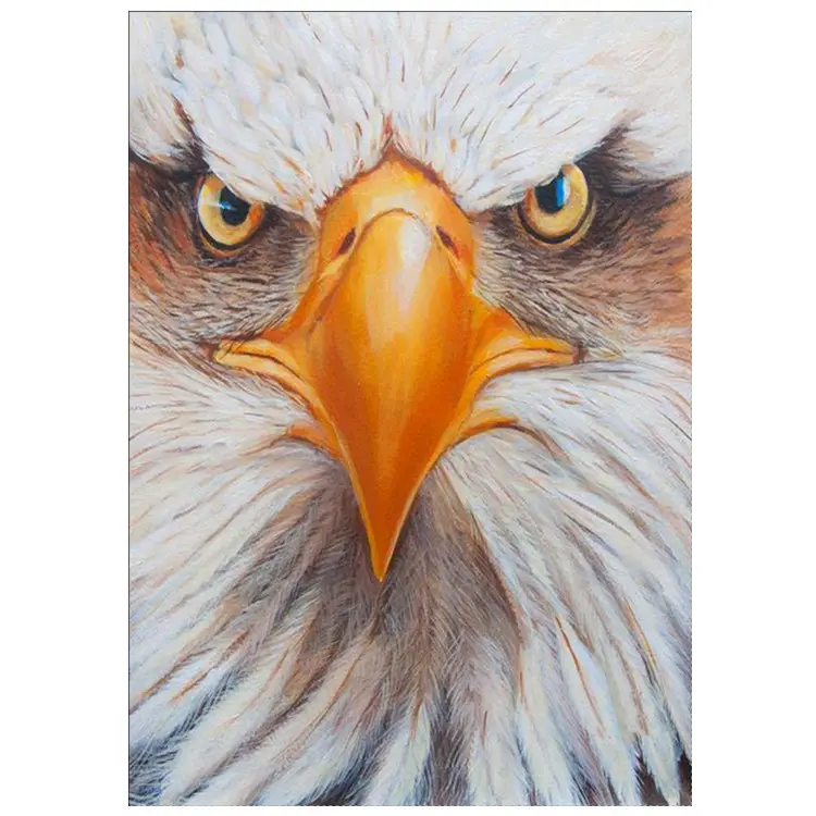 Wholesale 5D diamond painting home decoration cross embroidered Eagle Head DIY 5D crystal diamond painting