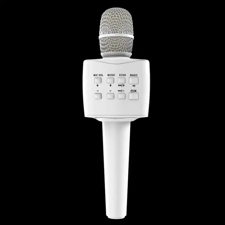 Altoparlante per microfono Wireless Mini portatile per conferenza Karaoke professionale