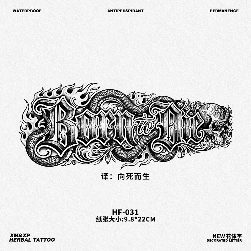 Hf-031-9.8X22cm