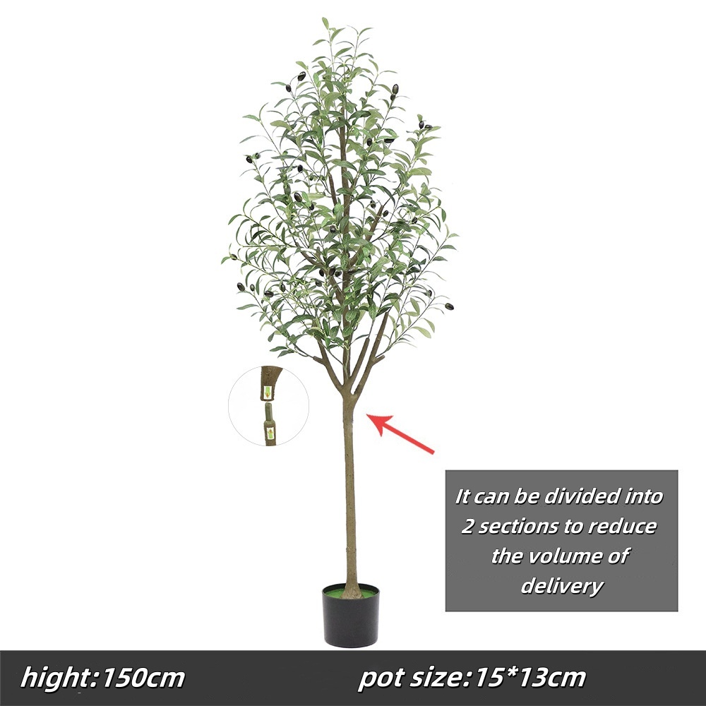 150cm olive tree, type b