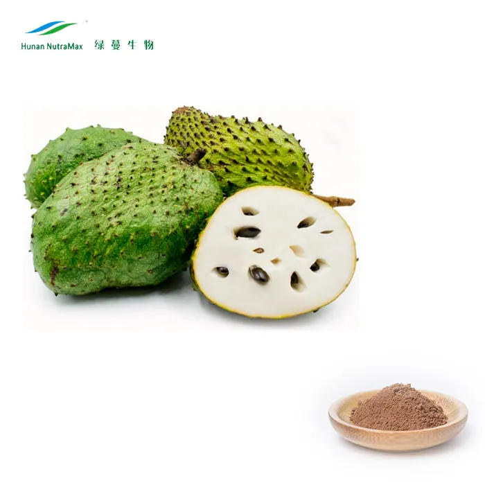 Rifornimento della fabbrica Guanabana P.E. Graviola Soursop Estratto In Polvere