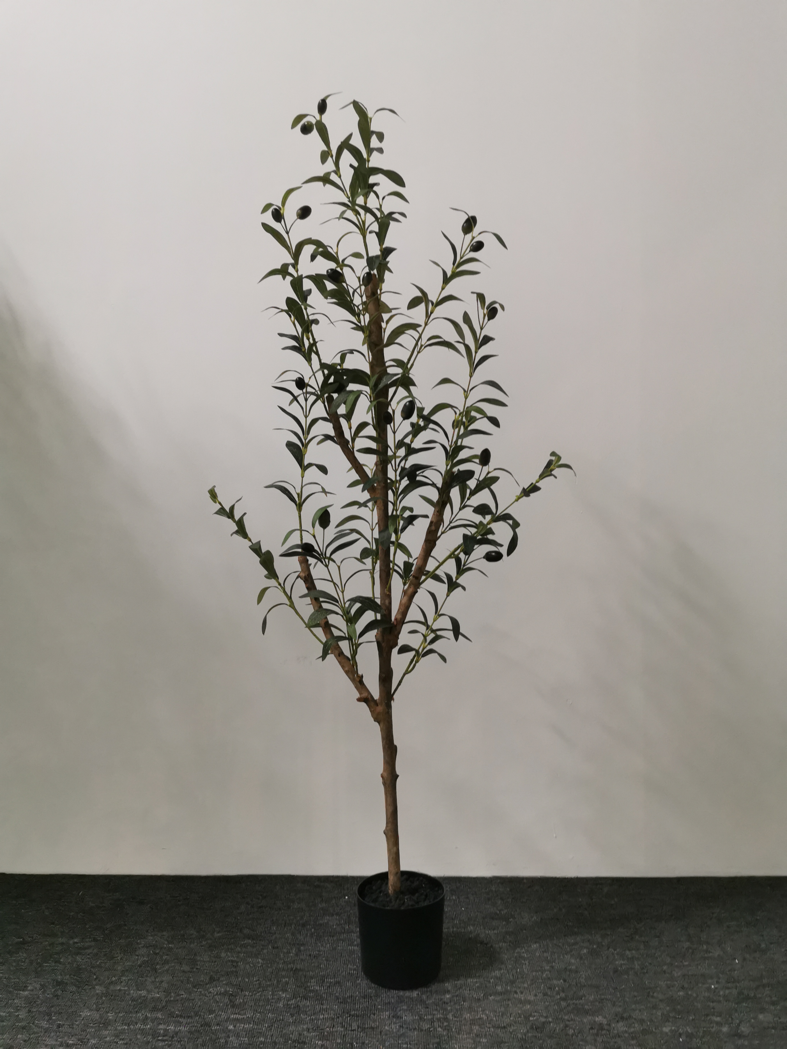 Arbre d'olive de 49 po TRE01