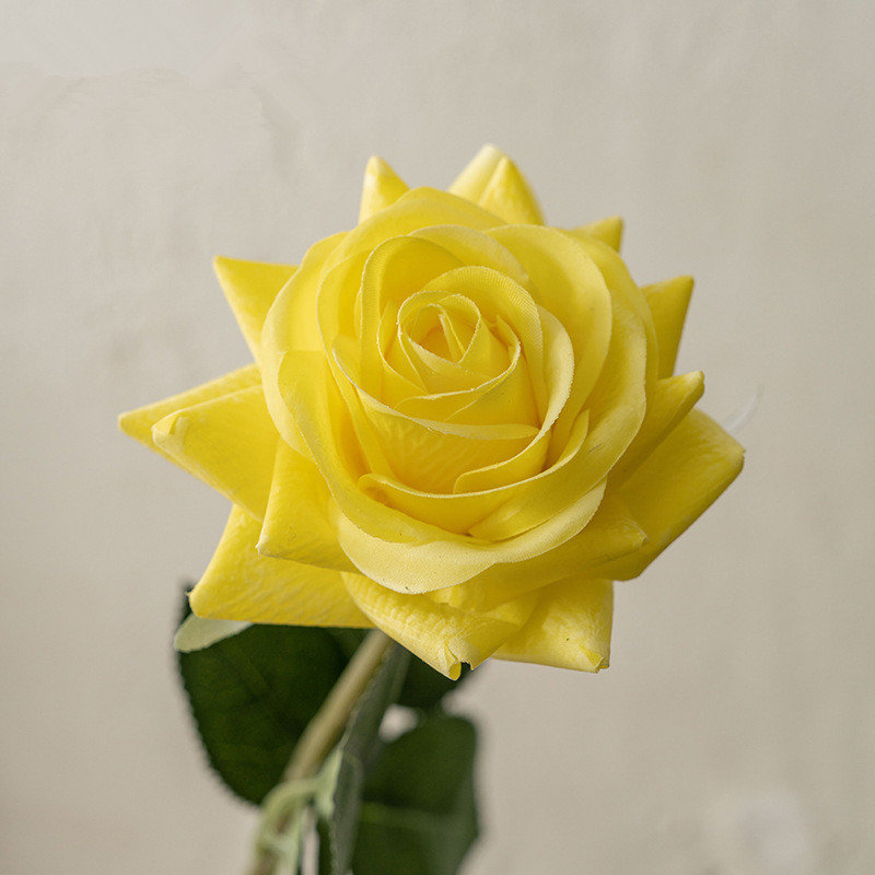 Giallo