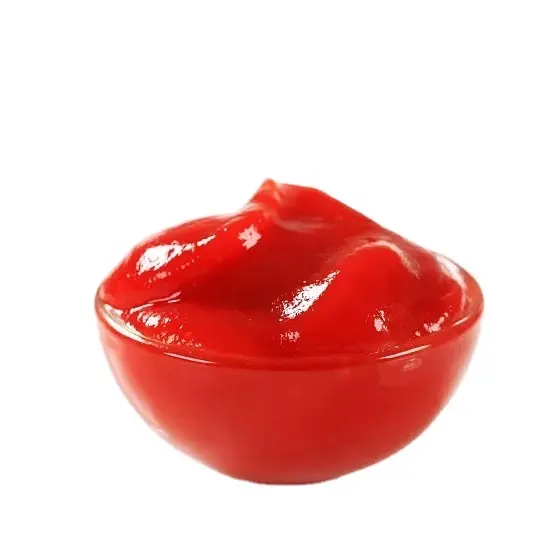 Nouveau Ketchup de première qualité en pâte de tomates fraîches disponible en vrac