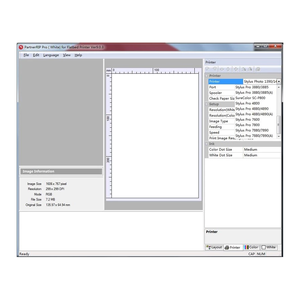 USB-ключ для блокировки для RIP White / Color Version 9,0, программное обеспечение для Epson/УФ-принтера RIP White + цветная печать - Product Image 6