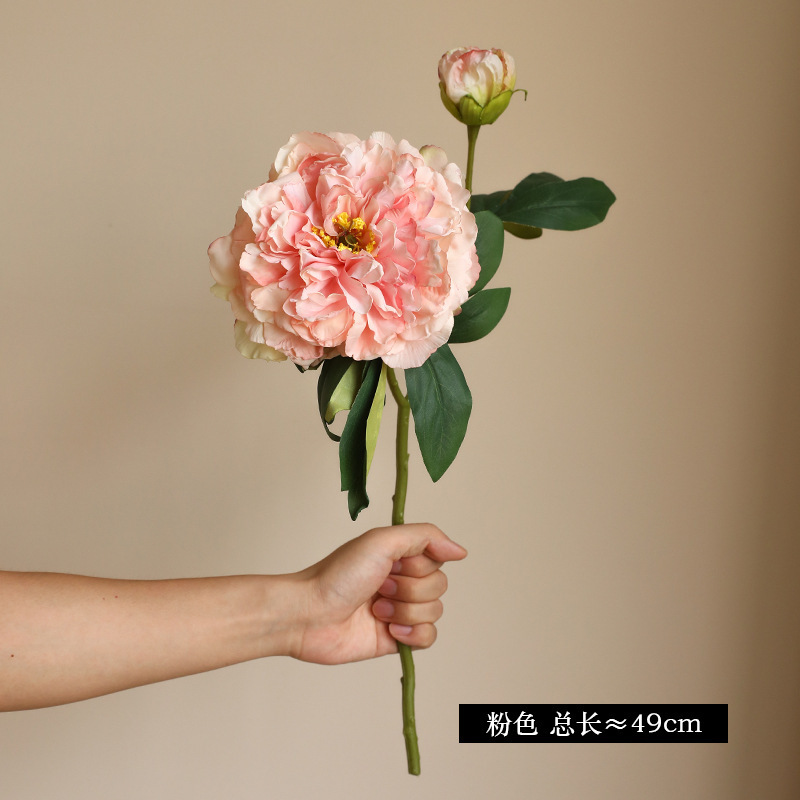 Rose pêche clair