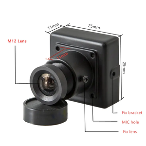 ODM 1/3 "CMOS 30*30mm 800TVL Smart renk mikro Analog kare kamera ile akıllı ekspres kabine için 2.8mm geniş açılı pano Lens