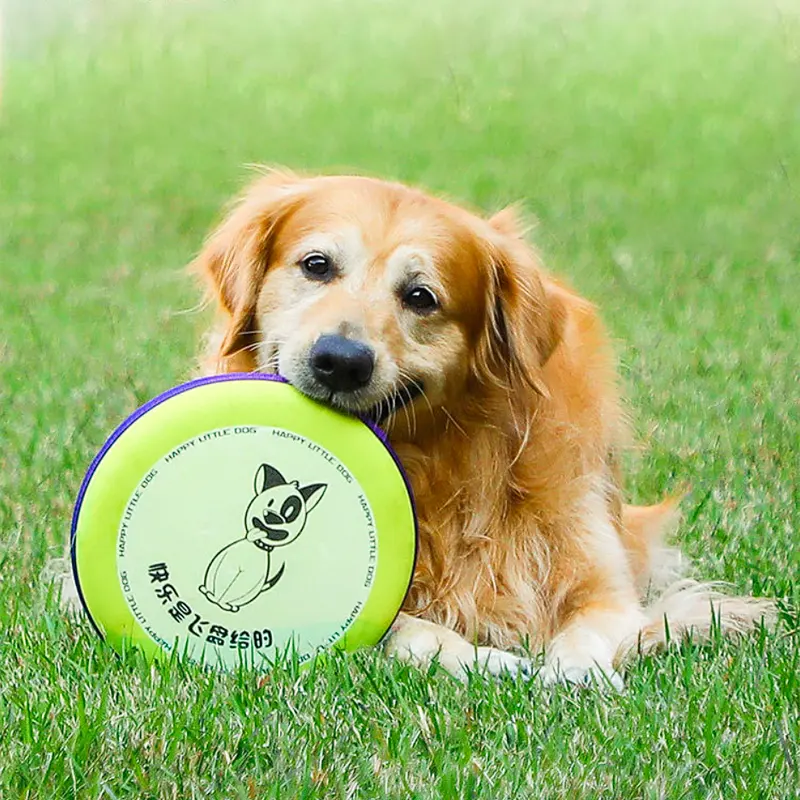 अनुकूलित नायलॉन ईवा कुत्ते सीमा शेफर्ड काटने-प्रतिरोधी पहनने के लिए प्रतिरोधी पालतू पशु प्रशिक्षण Frisbeed खिलौना