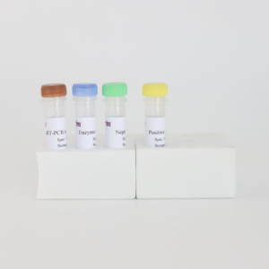 ערכת RT-PCR ירוק-eav sybr ירוק-זיהוי בזמן אמת, 50 בדיקות למעבדות וטרינריות