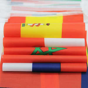 Huiyi Promotional Mass Custom Flag 100% Polyester Zambian Republican Election String Flags - Product Image 3