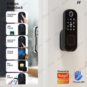 WiFi collegato esterno impermeabile Smart Gate in ottone cilindro serratura digitale con doppio lato sensore di impronte digitali & cerchio