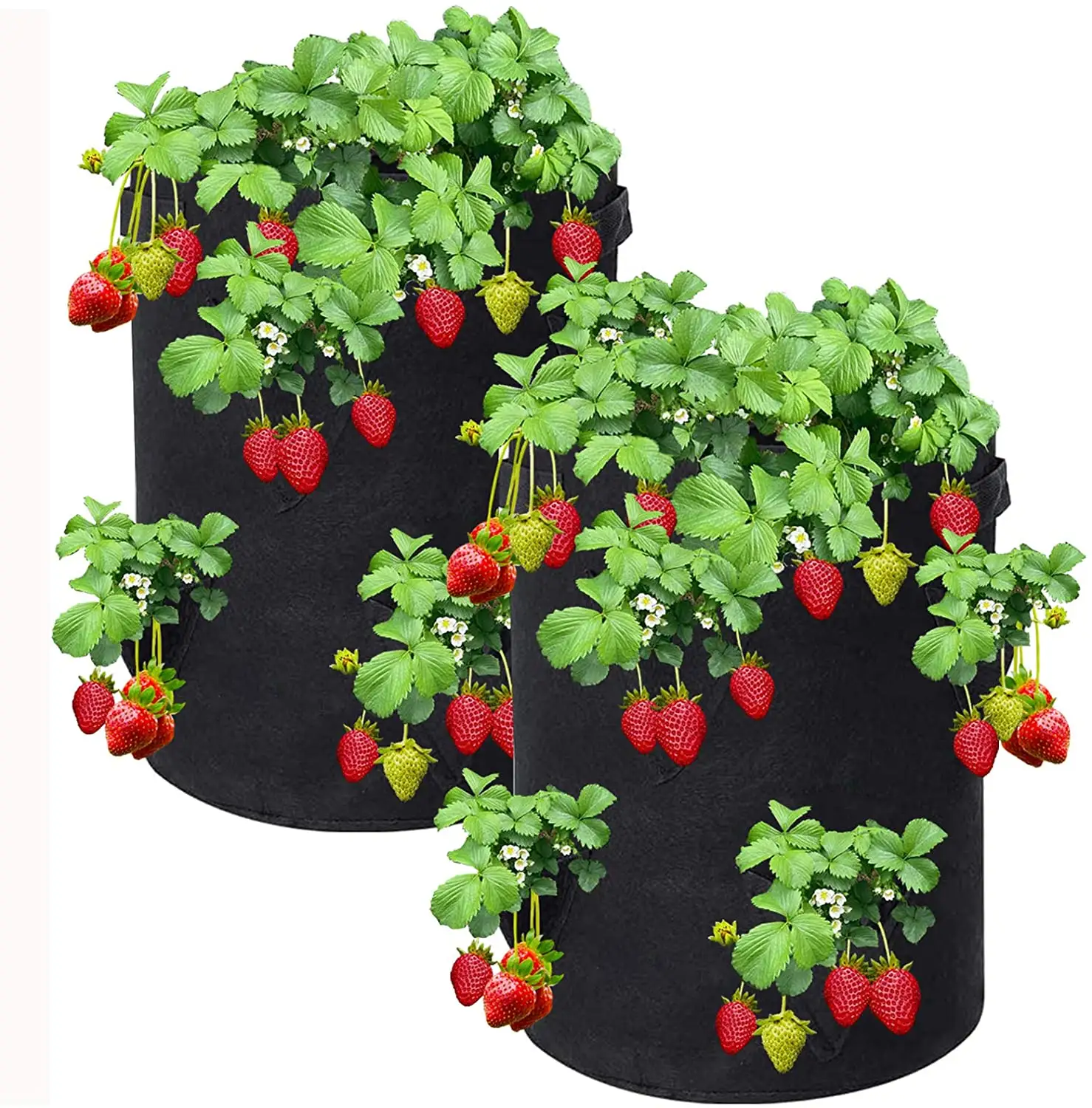 2แพ็ค10แกลลอนFelt Strawberryหม้อFelt Planterสตรอเบอร์รี่Felt Strawberryกระเป๋าด้านข้าง8ปลูกกระเป๋า