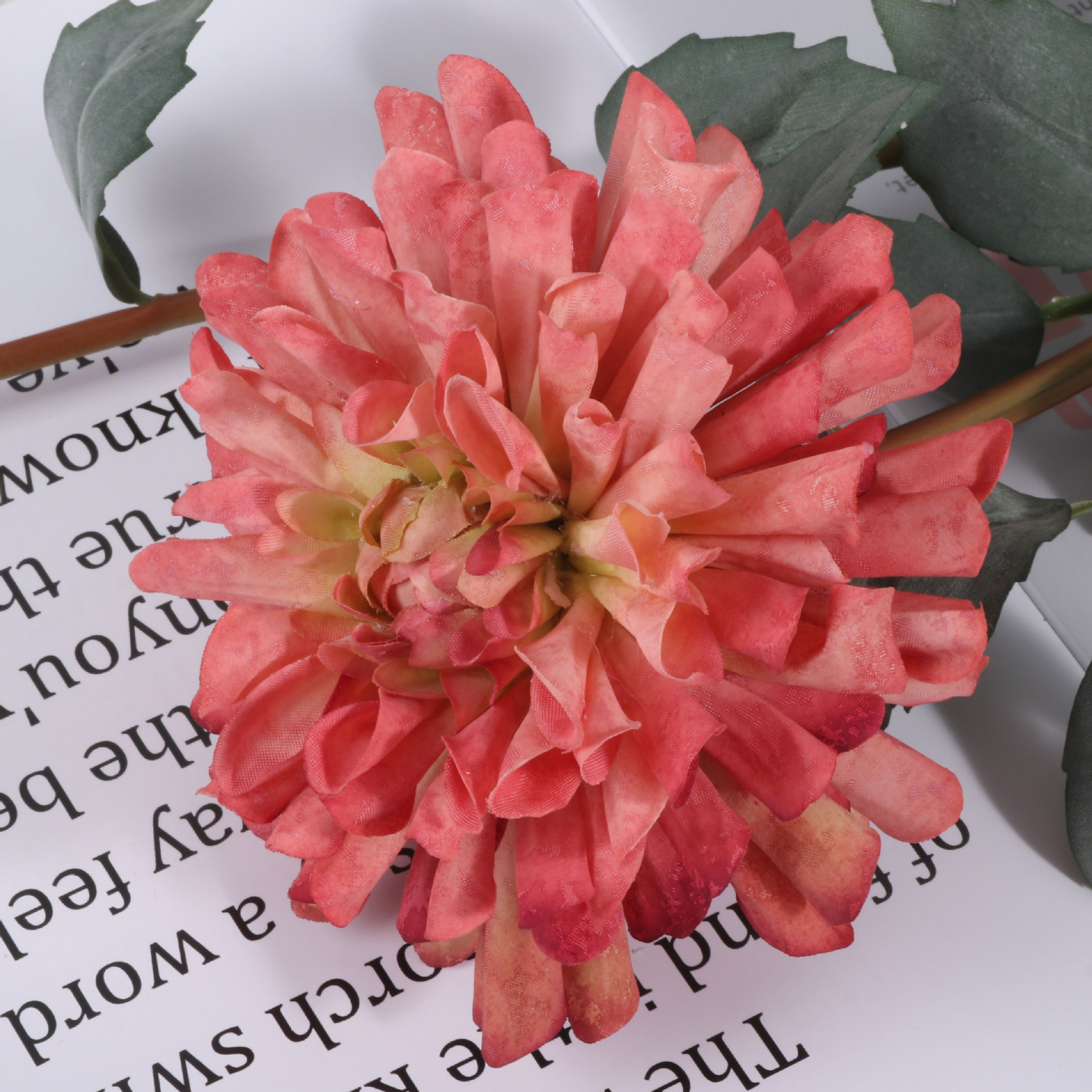 Rose rouge