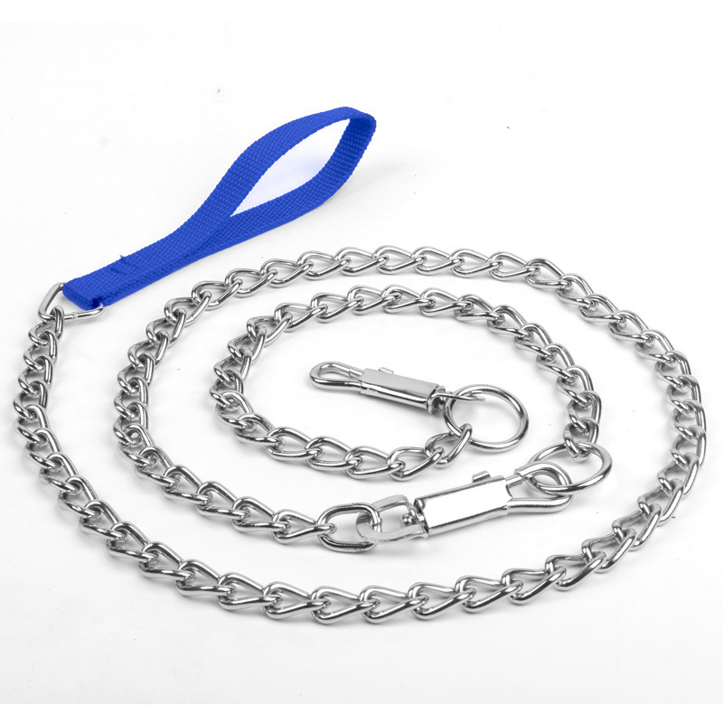 Correa azul + collar de metal