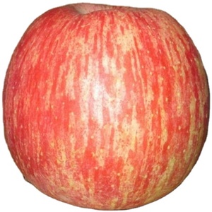 新鲜なアップルサプライヤー中国卸売业者富士アップル新しい作物アップル - Product Image 4